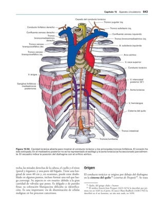 154017468-Anatomia-Humana-Garcia-Porrero-pdf.pdf