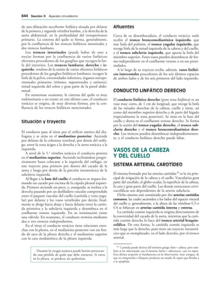 154017468-Anatomia-Humana-Garcia-Porrero-pdf.pdf