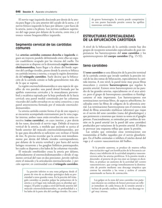 154017468-Anatomia-Humana-Garcia-Porrero-pdf.pdf