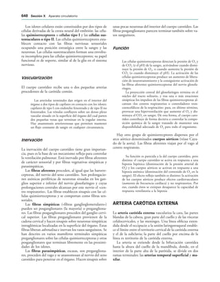 154017468-Anatomia-Humana-Garcia-Porrero-pdf.pdf