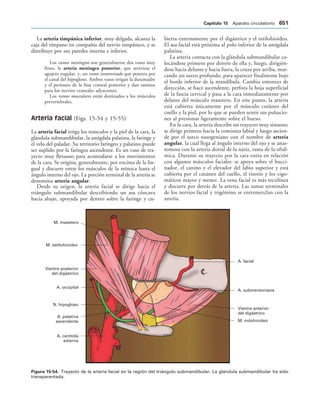 154017468-Anatomia-Humana-Garcia-Porrero-pdf.pdf