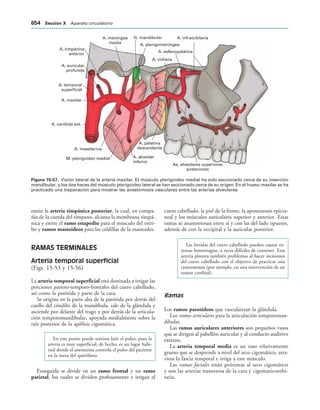 154017468-Anatomia-Humana-Garcia-Porrero-pdf.pdf