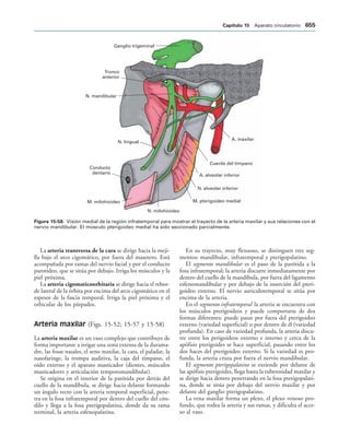 154017468-Anatomia-Humana-Garcia-Porrero-pdf.pdf