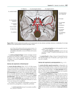 154017468-Anatomia-Humana-Garcia-Porrero-pdf.pdf