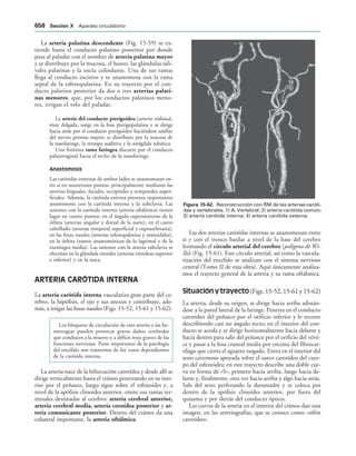 154017468-Anatomia-Humana-Garcia-Porrero-pdf.pdf