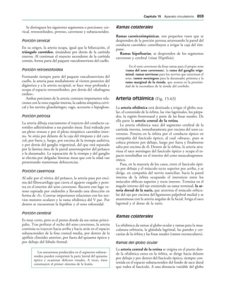 154017468-Anatomia-Humana-Garcia-Porrero-pdf.pdf