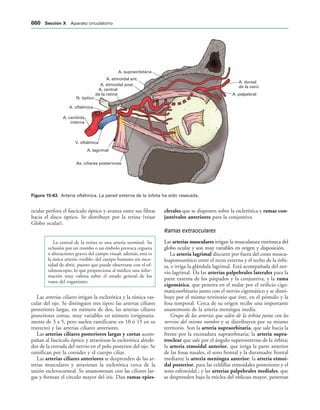 154017468-Anatomia-Humana-Garcia-Porrero-pdf.pdf