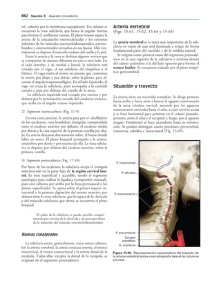 154017468-Anatomia-Humana-Garcia-Porrero-pdf.pdf