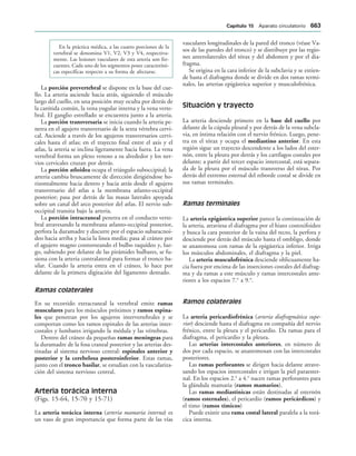 154017468-Anatomia-Humana-Garcia-Porrero-pdf.pdf
