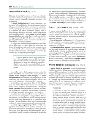154017468-Anatomia-Humana-Garcia-Porrero-pdf.pdf