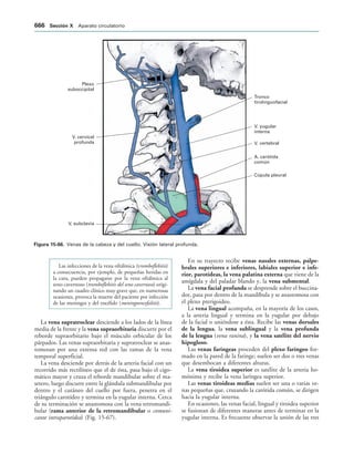 154017468-Anatomia-Humana-Garcia-Porrero-pdf.pdf