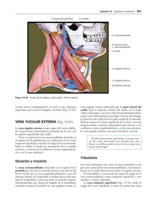 154017468-Anatomia-Humana-Garcia-Porrero-pdf.pdf