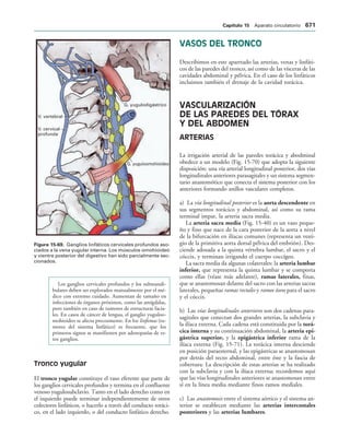 154017468-Anatomia-Humana-Garcia-Porrero-pdf.pdf