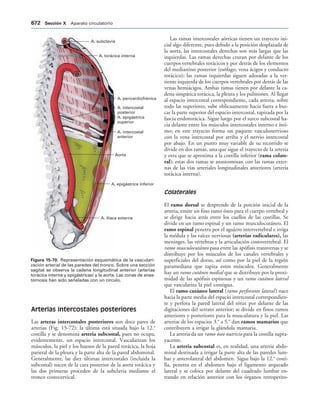 154017468-Anatomia-Humana-Garcia-Porrero-pdf.pdf