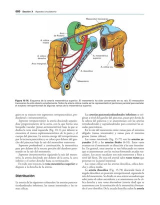 154017468-Anatomia-Humana-Garcia-Porrero-pdf.pdf