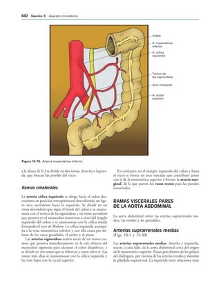 154017468-Anatomia-Humana-Garcia-Porrero-pdf.pdf