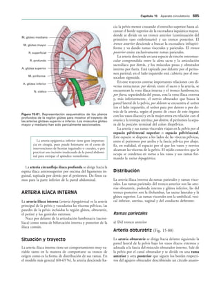 154017468-Anatomia-Humana-Garcia-Porrero-pdf.pdf