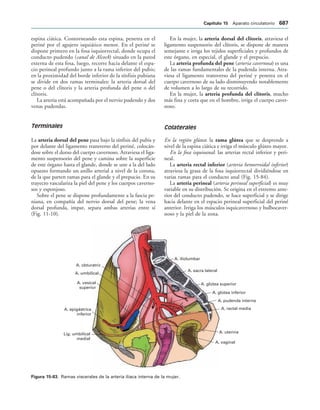 154017468-Anatomia-Humana-Garcia-Porrero-pdf.pdf