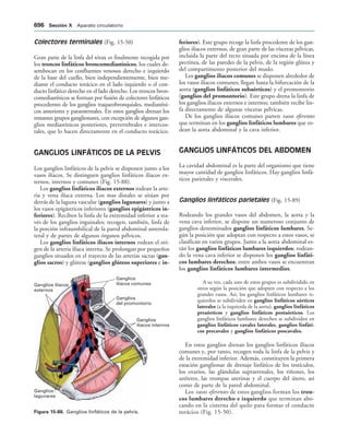 154017468-Anatomia-Humana-Garcia-Porrero-pdf.pdf