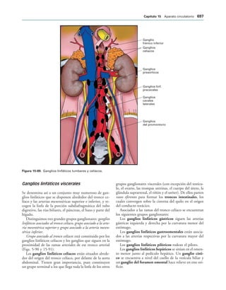 154017468-Anatomia-Humana-Garcia-Porrero-pdf.pdf