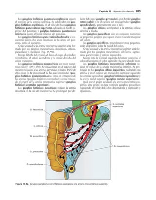 154017468-Anatomia-Humana-Garcia-Porrero-pdf.pdf