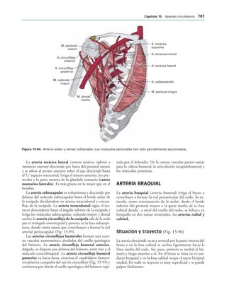 154017468-Anatomia-Humana-Garcia-Porrero-pdf.pdf