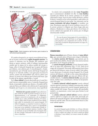 154017468-Anatomia-Humana-Garcia-Porrero-pdf.pdf