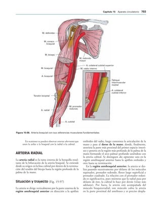 154017468-Anatomia-Humana-Garcia-Porrero-pdf.pdf