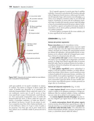 154017468-Anatomia-Humana-Garcia-Porrero-pdf.pdf