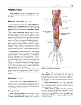 154017468-Anatomia-Humana-Garcia-Porrero-pdf.pdf