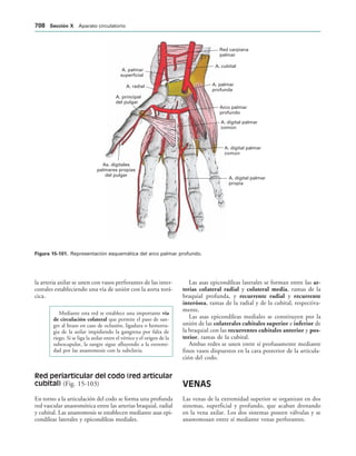 154017468-Anatomia-Humana-Garcia-Porrero-pdf.pdf