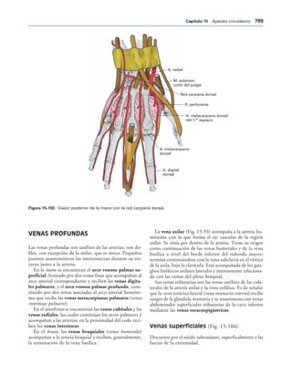 154017468-Anatomia-Humana-Garcia-Porrero-pdf.pdf