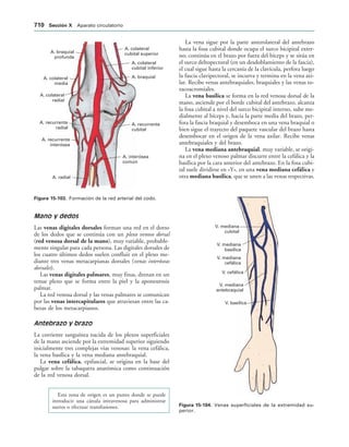 154017468-Anatomia-Humana-Garcia-Porrero-pdf.pdf