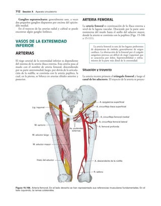 154017468-Anatomia-Humana-Garcia-Porrero-pdf.pdf