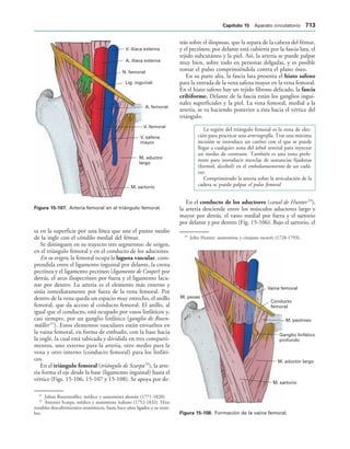 154017468-Anatomia-Humana-Garcia-Porrero-pdf.pdf