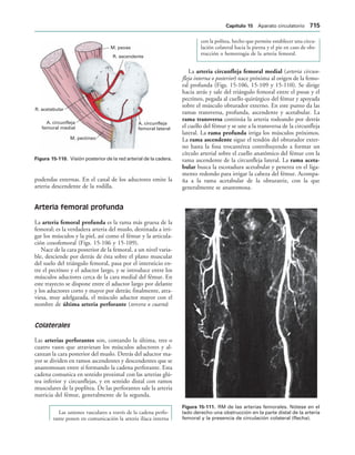 154017468-Anatomia-Humana-Garcia-Porrero-pdf.pdf