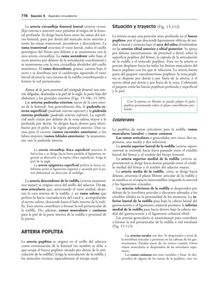154017468-Anatomia-Humana-Garcia-Porrero-pdf.pdf