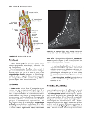 154017468-Anatomia-Humana-Garcia-Porrero-pdf.pdf