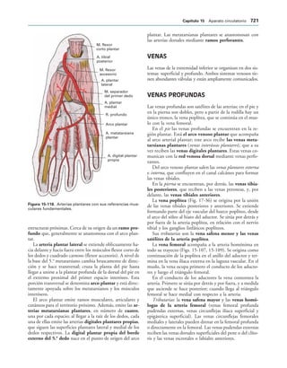 154017468-Anatomia-Humana-Garcia-Porrero-pdf.pdf