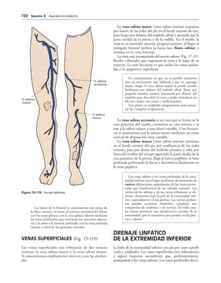 154017468-Anatomia-Humana-Garcia-Porrero-pdf.pdf