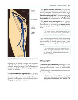 154017468-Anatomia-Humana-Garcia-Porrero-pdf.pdf