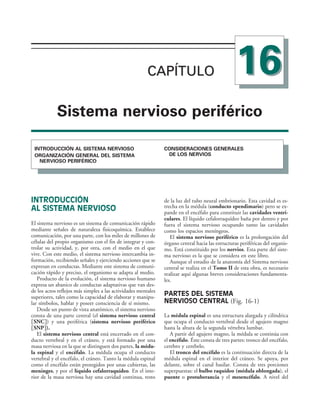 154017468-Anatomia-Humana-Garcia-Porrero-pdf.pdf