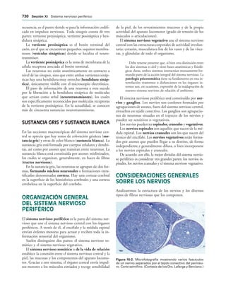 154017468-Anatomia-Humana-Garcia-Porrero-pdf.pdf