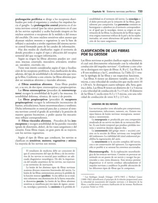 154017468-Anatomia-Humana-Garcia-Porrero-pdf.pdf