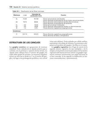 154017468-Anatomia-Humana-Garcia-Porrero-pdf.pdf