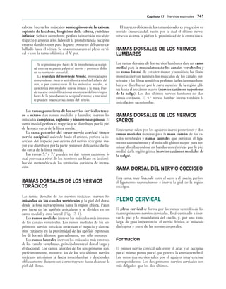 154017468-Anatomia-Humana-Garcia-Porrero-pdf.pdf
