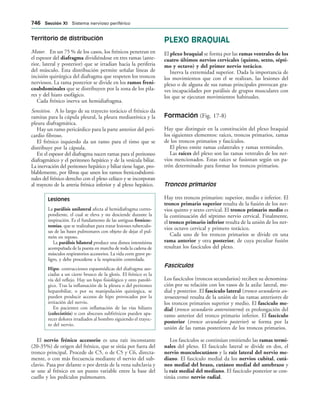 154017468-Anatomia-Humana-Garcia-Porrero-pdf.pdf