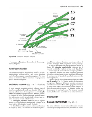 154017468-Anatomia-Humana-Garcia-Porrero-pdf.pdf