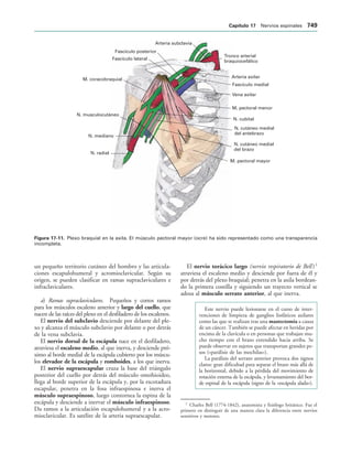 154017468-Anatomia-Humana-Garcia-Porrero-pdf.pdf