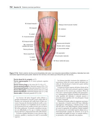 154017468-Anatomia-Humana-Garcia-Porrero-pdf.pdf